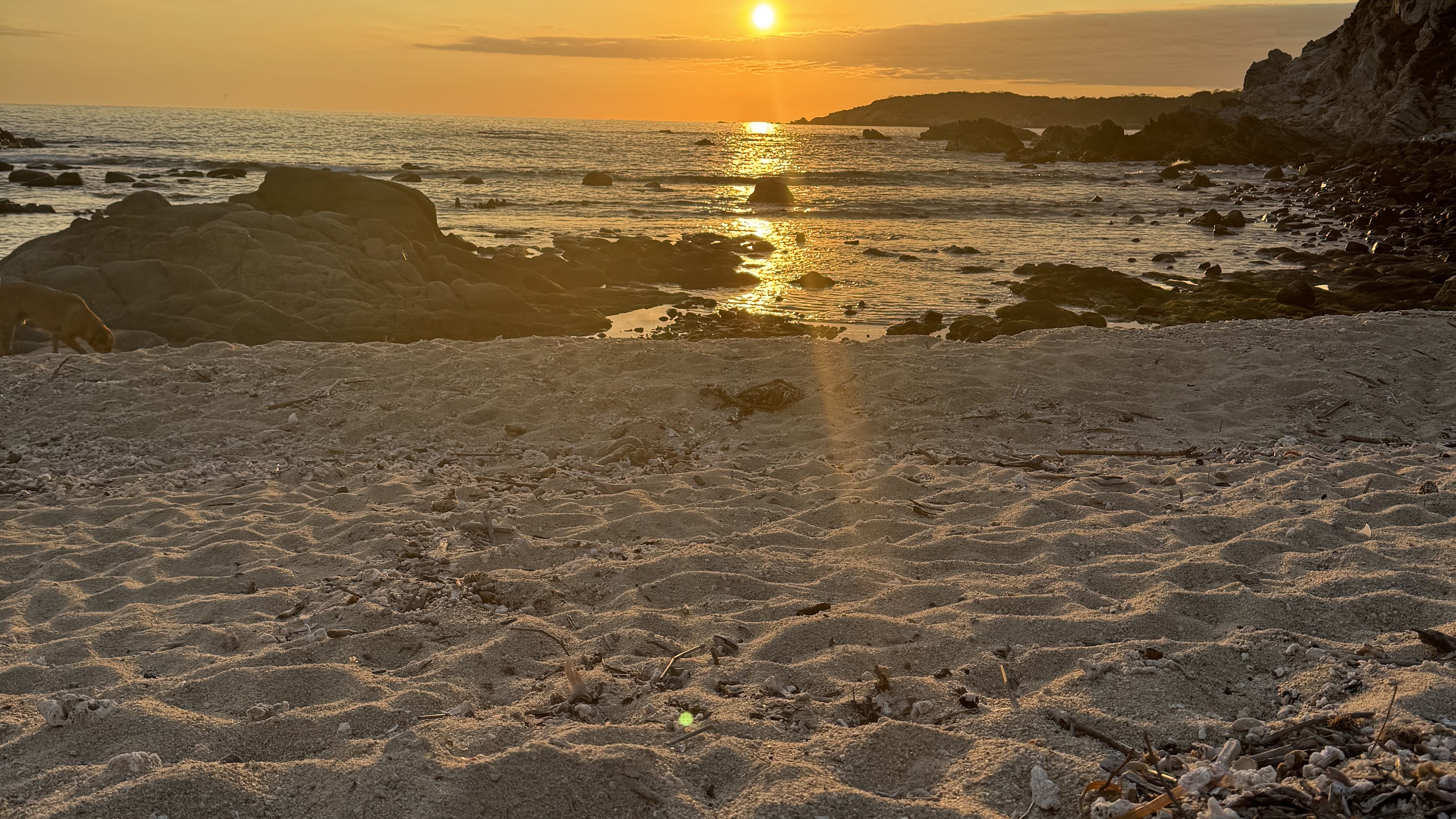 Coastal land on the Oaxaca coast