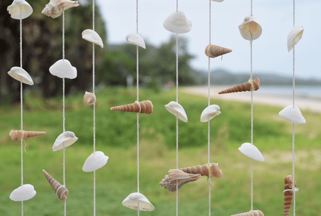 seashells hanging on string craft